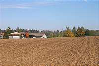 Unser Garten neben der Halle