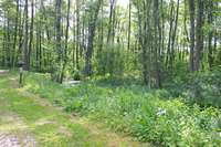 Der Wald entlang der Sierpienica