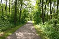 Der Weg durch den Wald