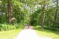 Der Weg aus dem Uferwald