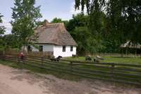 Natalie bewundert die Heidschnucken