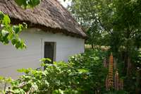 R&uuml;ckwand mit Garten