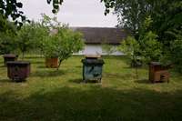 Bienenk&ouml;rbe aus Holz