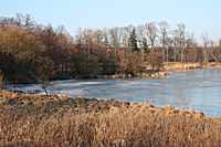 Der Weiher ist zugefroren