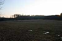 Eine der vielen Waldwiesen